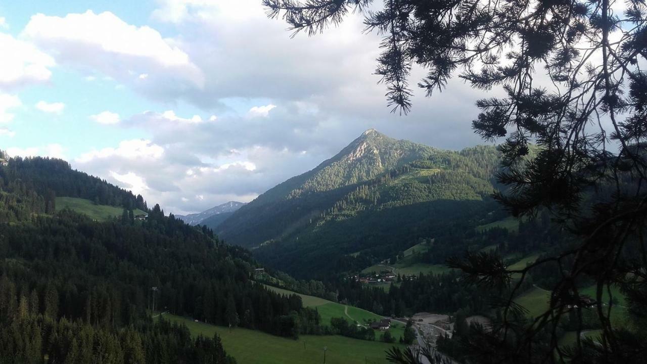 Appartement Bettina Mitterwallner Altenmarkt im Pongau Eksteriør billede