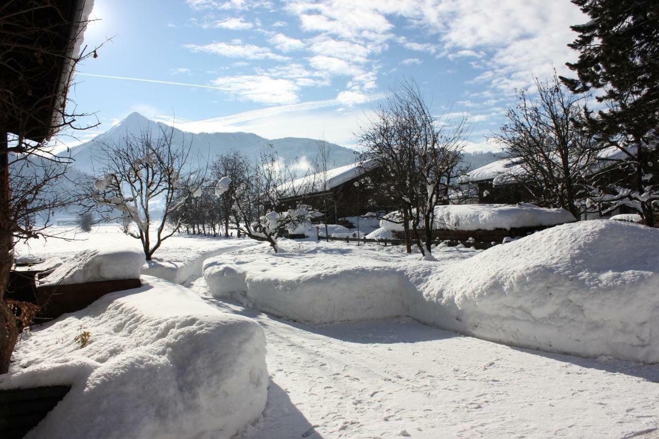 Appartement Bettina Mitterwallner Altenmarkt im Pongau Eksteriør billede